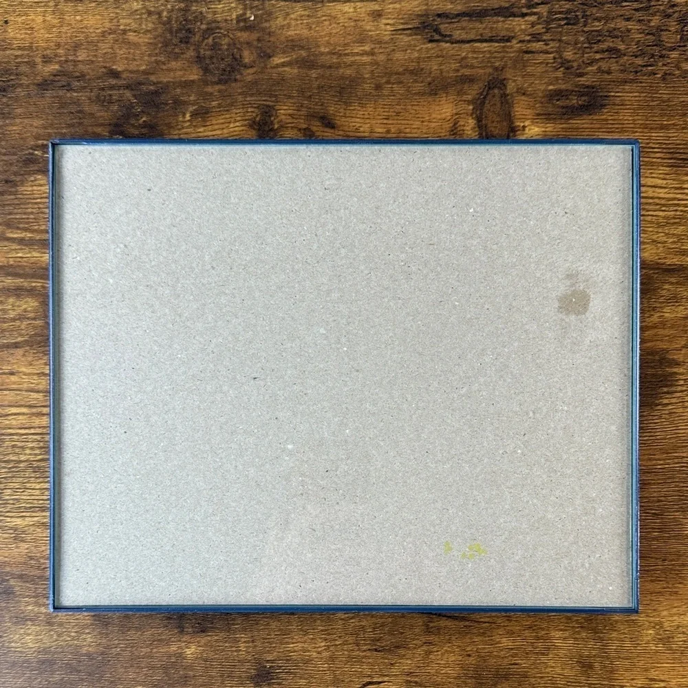 NWT Metal Blue Picture Framed 8” x 10”